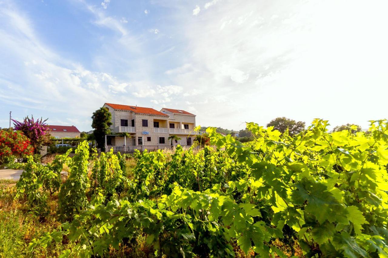 Fides Apartment